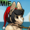 Summer Christmas