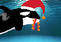 Katina&rsquo;s jingle of the bells