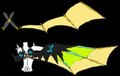 wings