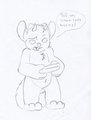 What darko found