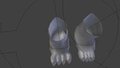 Feet