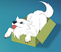 A Wolf in a Box by WolfeMan