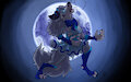 [COM] Magic Werewolf Girl