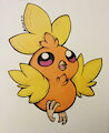Fluffy fire birb