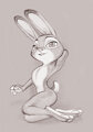 bundoe