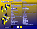 PonySeb 2.0's 2020 reference sheet