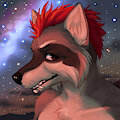 Raccoonism the Stargazer (feat. Milkyway) by raccoonism