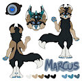[ c ] marcus