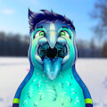 [C] Mawsome winter