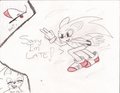 :sonadow:Planted-3 by MonPetitSonic