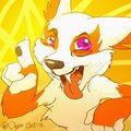 Canis OC