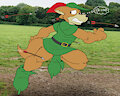Robin Hood
