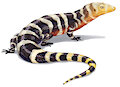 brazilian galliwasp