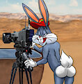 Dos Coyotes, Cartoon network