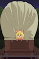 *C*_Where are we going? by Fuf