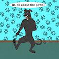 My paws
