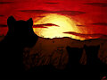Savanna Sunset