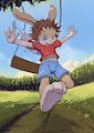 Cord On The Swing