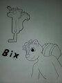 Bix