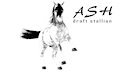 Trio's Horse Family by trioami