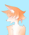 random fox