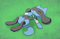 Sleepy Rio
