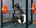 Lifting