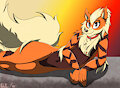 [C] Arcanine
