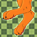 Checkered Paws