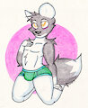 Briefs