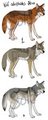 Wolf Adoptables by LostWolfSpirit