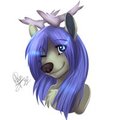 Iris .:GIFT:.