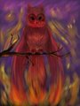 Of Fire and Flames: Owl Phoenix Hybrid by TigressOfKarma