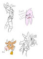 sketches