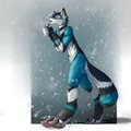 Cold