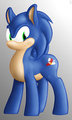 My Little Sonic