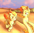 ponyta