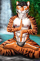 Zen by Gevual