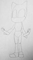 How I Draw Mobians (Female)