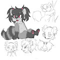 Coon