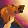 Scribble: Rika by wolfgryph
