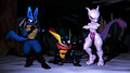 Pokeboyz