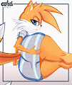 Tails by CepheiFN