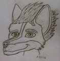 head shot