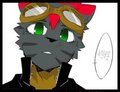 New Submission by ZedNeko
