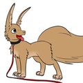 Feral Immy by Immelmann