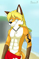 Lifeguard on Foxy Beach :3
