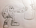 Knuckles at the Gym by Lex