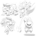 Sonic & Knuckles