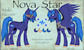 Reference of Nova by Solarwuff